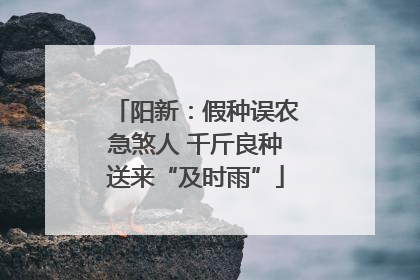 阳新：假种误农急煞人 千斤良种送来“及时雨”