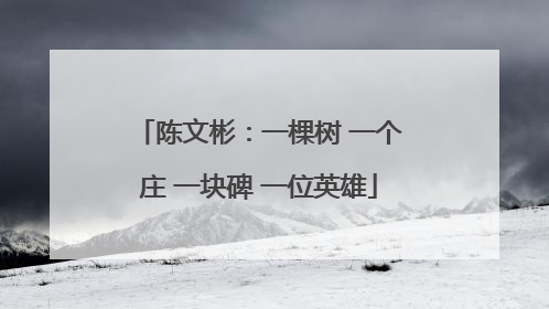陈文彬：一棵树 一个庄 一块碑 一位英雄