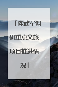 陈武军调研重点文旅项目推进情况