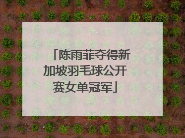 陈雨菲夺得新加坡羽毛球公开赛女单冠军