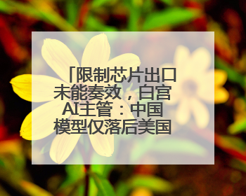 限制芯片出口未能奏效，白宫AI主管：中国模型仅落后美国不到半年