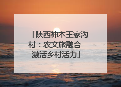 陕西神木王家沟村：农文旅融合 激活乡村活力