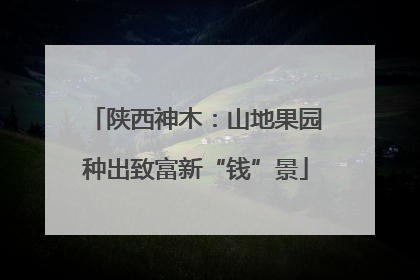 陕西神木：山地果园种出致富新“钱”景