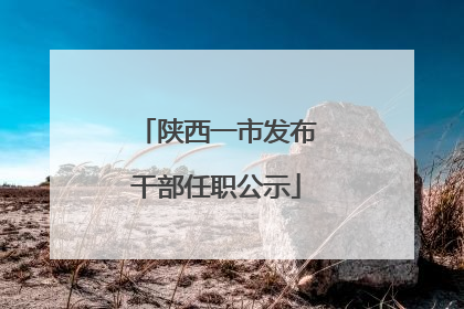 陕西一市发布干部任职公示