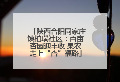 陕西合阳同家庄镇柏瑞社区：百亩杏园迎丰收 果农走上“杏”福路