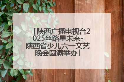 陕西广播电视台2025丝路星未来-陕西省少儿六一文艺晚会圆满举办