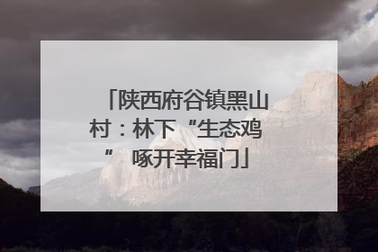 陕西府谷镇黑山村：林下“生态鸡” 啄开幸福门