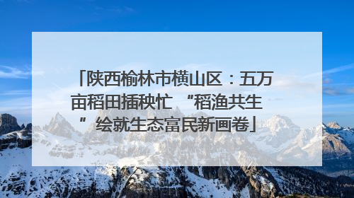 陕西榆林市横山区：五万亩稻田插秧忙 “稻渔共生”绘就生态富民新画卷