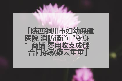 陕西铜川市妇幼保健医院 消防通道“变身”商铺 费用收支成谜 合同条款疑云重重