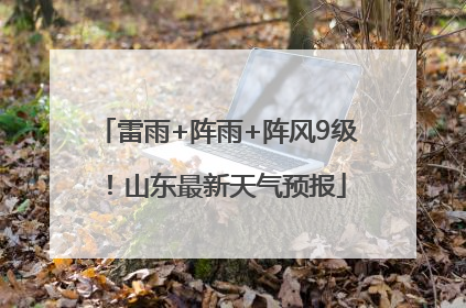 雷雨+阵雨+阵风9级！山东最新天气预报