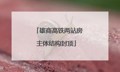 雄商高铁两站房主体结构封顶