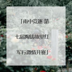 雨中竞逐 第七届陶铸故里红军行激情开赛