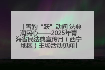 雪豹“跃”动间 法典润民心——2025年青海省民法典宣传月（西宁地区）主场活动见闻