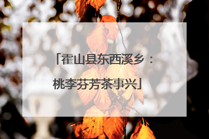 霍山县东西溪乡：桃李芬芳茶事兴