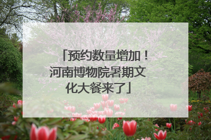 预约数量增加！河南博物院暑期文化大餐来了