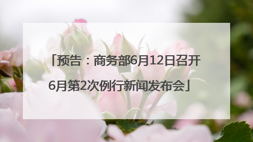 预告：商务部6月12日召开6月第2次例行新闻发布会