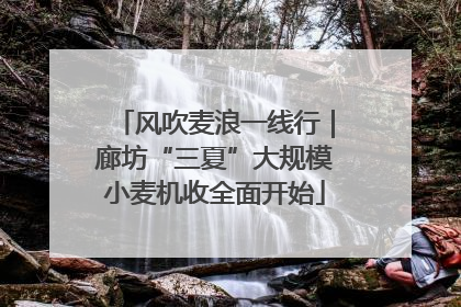 风吹麦浪一线行｜廊坊“三夏”大规模小麦机收全面开始