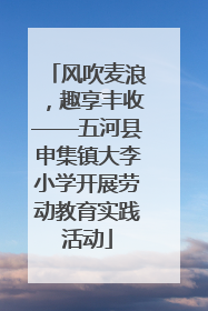 风吹麦浪，趣享丰收——五河县申集镇大李小学开展劳动教育实践活动