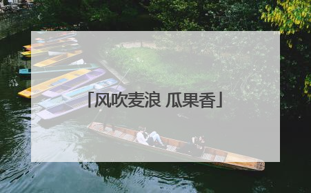 风吹麦浪 瓜果香