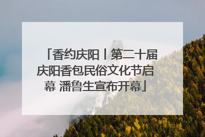 香约庆阳丨第二十届庆阳香包民俗文化节启幕 潘鲁生宣布开幕
