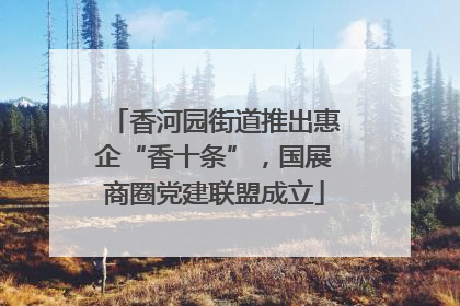 香河园街道推出惠企“香十条”，国展商圈党建联盟成立