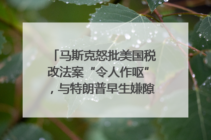 马斯克怒批美国税改法案“令人作呕”，与特朗普早生嫌隙？｜国际识局