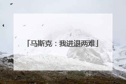 马斯克：我进退两难