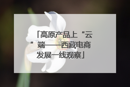 高原产品上“云”端——西藏电商发展一线观察