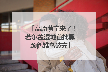 高原萌宝来了！若尔盖湿地首批黑颈鹤雏鸟破壳