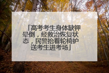 高考考生身体缺钾晕倒，经救治恢复状态，民警抬着轮椅护送考生进考场