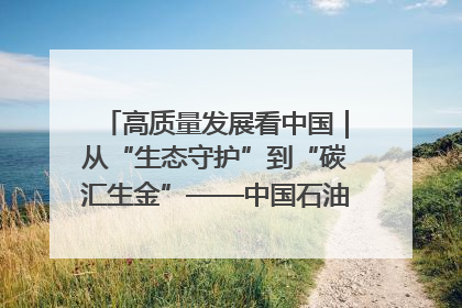 高质量发展看中国｜从“生态守护”到“碳汇生金”——中国石油大庆油田绿色蝶变