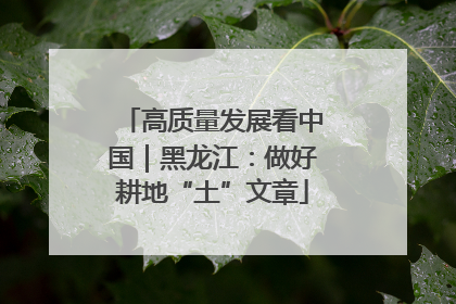 高质量发展看中国｜黑龙江：做好耕地“土”文章