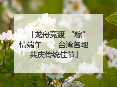 龙舟竞渡 “粽”情端午——台湾各地共庆传统佳节