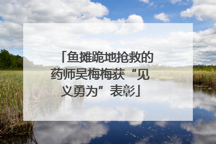 鱼摊跪地抢救的药师吴梅梅获“见义勇为”表彰