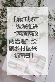 麻江坝芒：纵深推进“两清两改两治理”绘就乡村振兴新图景