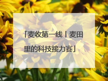 麦收第一线丨麦田里的科技接力赛