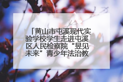 黄山市屯溪现代实验学校学生走进屯溪区人民检察院“昱见未来”青少年法治教育宣传基地