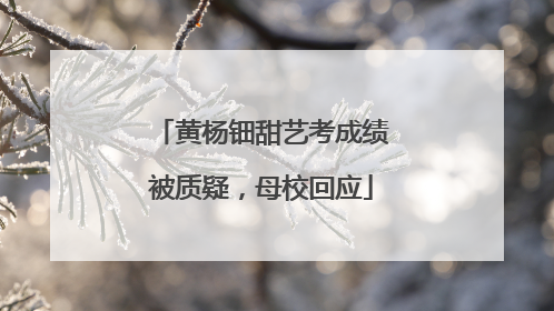 黄杨钿甜艺考成绩被质疑，母校回应