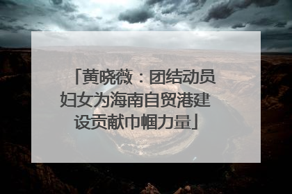 黄晓薇：团结动员妇女为海南自贸港建设贡献巾帼力量