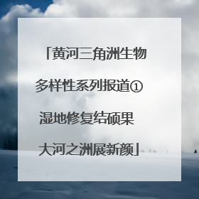 黄河三角洲生物多样性系列报道①湿地修复结硕果 大河之洲展新颜