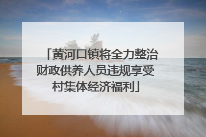 黄河口镇将全力整治财政供养人员违规享受村集体经济福利