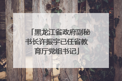 黑龙江省政府副秘书长许振宇已任省教育厅党组书记