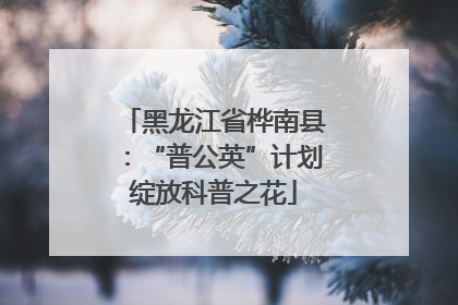 黑龙江省桦南县：“普公英”计划绽放科普之花