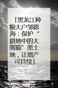 黑龙江种粮大户邹德海：保护“耕地中的大熊猫”黑土地，让增产可持续