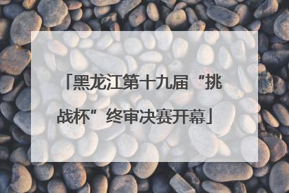 黑龙江第十九届“挑战杯”终审决赛开幕