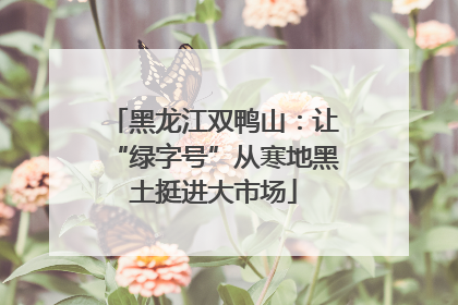 黑龙江双鸭山：让“绿字号”从寒地黑土挺进大市场