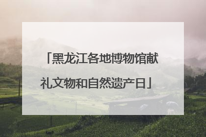 黑龙江各地博物馆献礼文物和自然遗产日