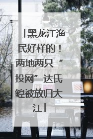黑龙江渔民好样的！两地两只“投网”达氏鳇被放归大江