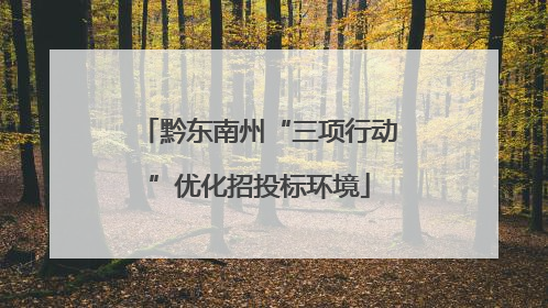 黔东南州“三项行动”优化招投标环境