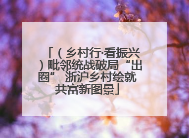 （乡村行·看振兴）毗邻统战破局“出圈” 浙沪乡村绘就共富新图景